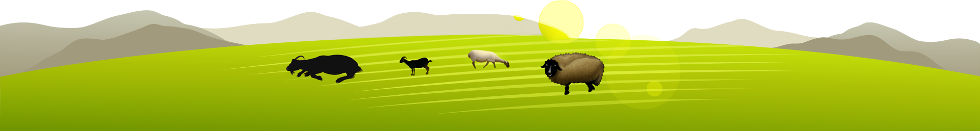 footer-bg
